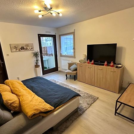 Superbe F2 Terrasse, Route Du Vin, Florival Apartment Гебвилер Екстериор снимка