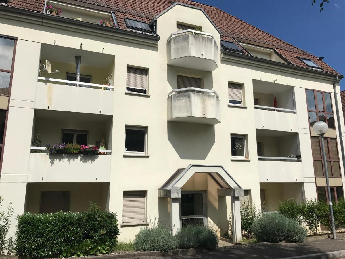Superbe F2 Terrasse, Route Du Vin, Florival Apartment Гебвилер Екстериор снимка